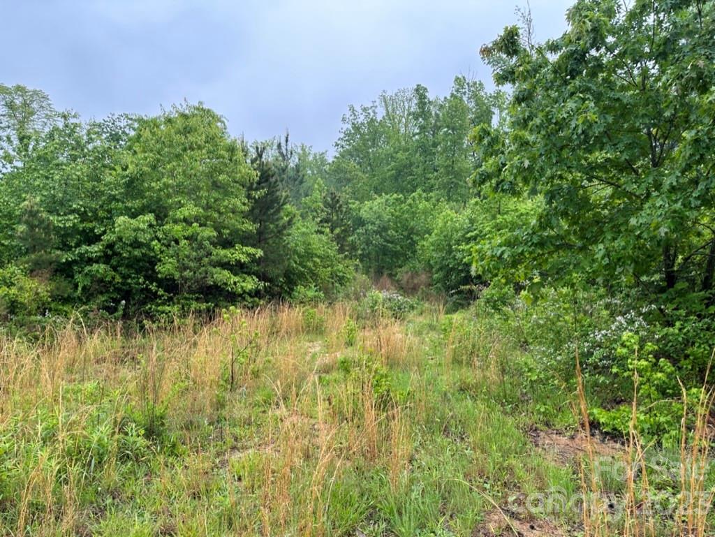 0 Phillips Street Landis NC 28088