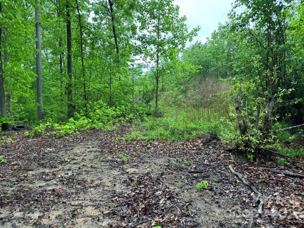 0 Phillips Street Landis NC 28088