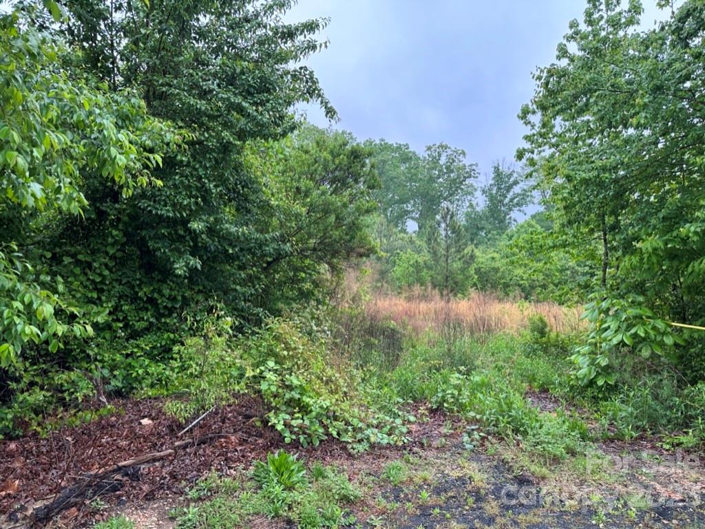 0 Phillips Street Landis NC 28088