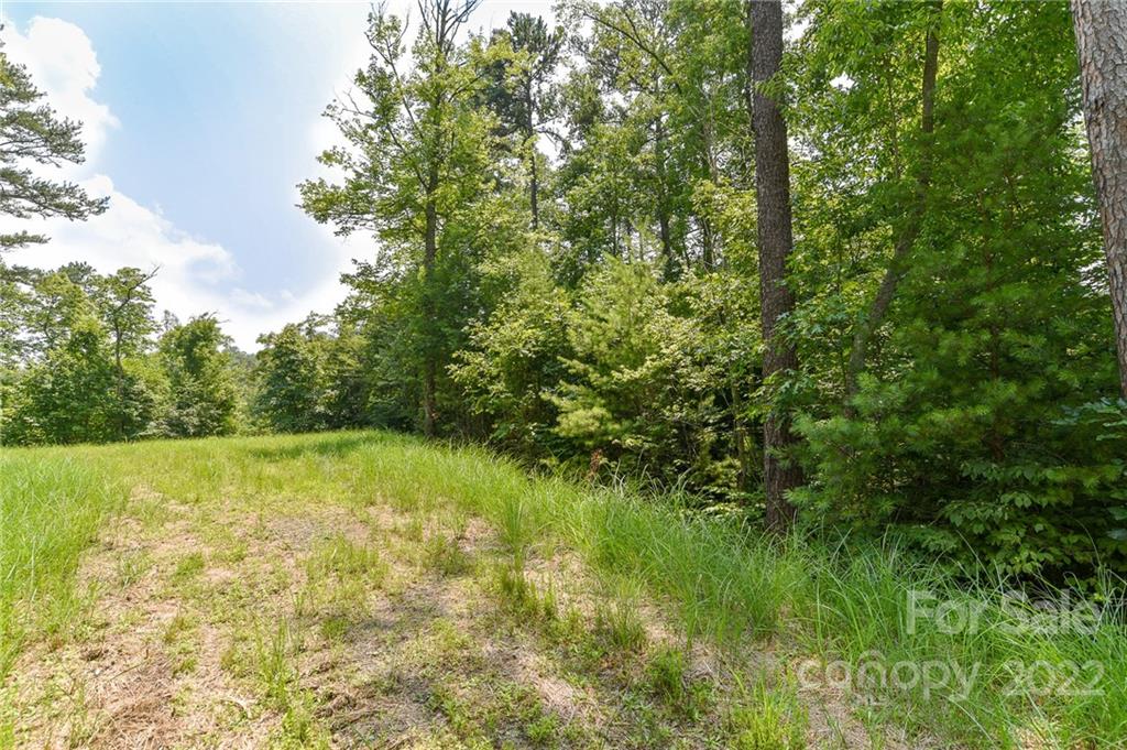 Lot 4 The Vines Boulevard Marshall NC 28753