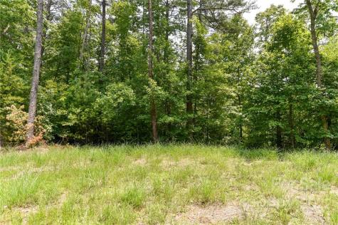 Lot 4 The Vines Boulevard Marshall NC 28753