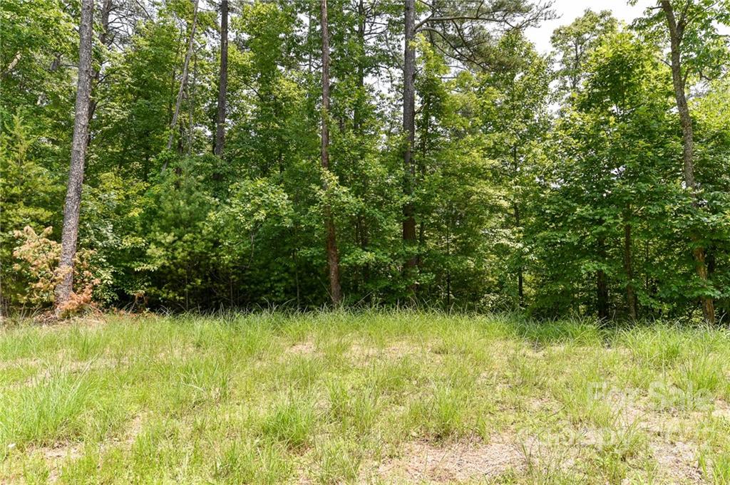 Lot 4 The Vines Boulevard Marshall NC 28753
