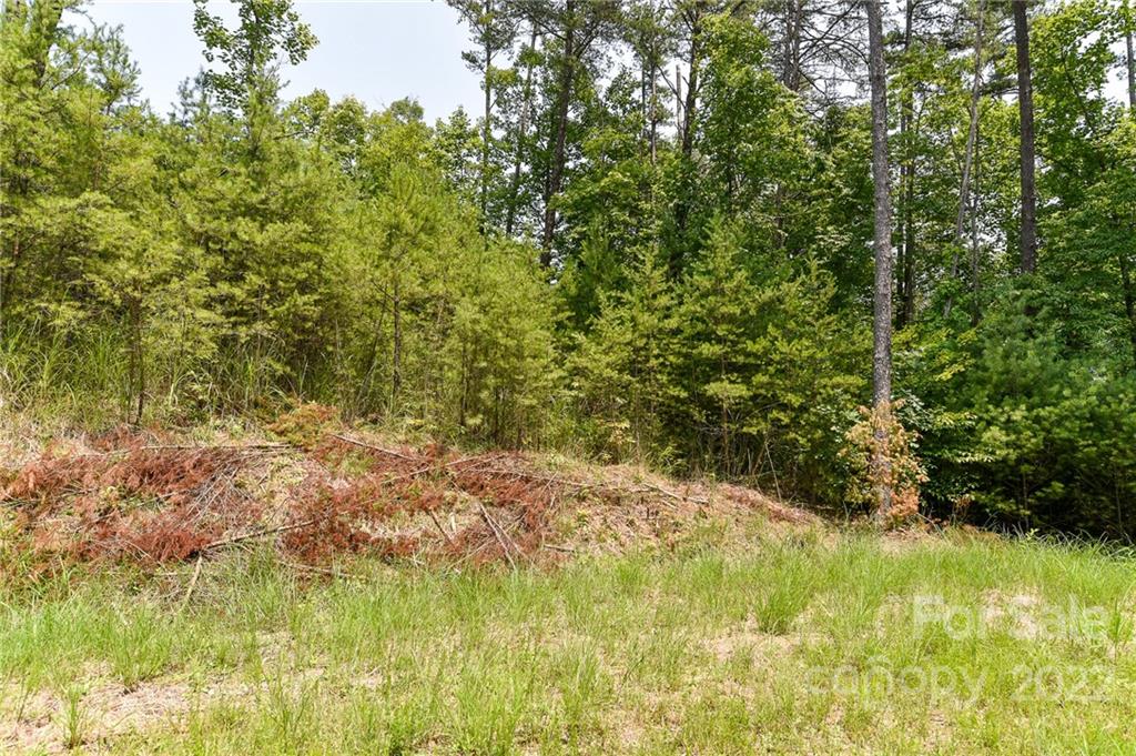 Lot 4 The Vines Boulevard Marshall NC 28753