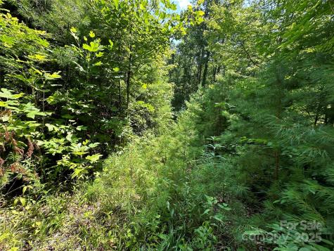 43 Abby Falls Drive Rosman NC 28772
