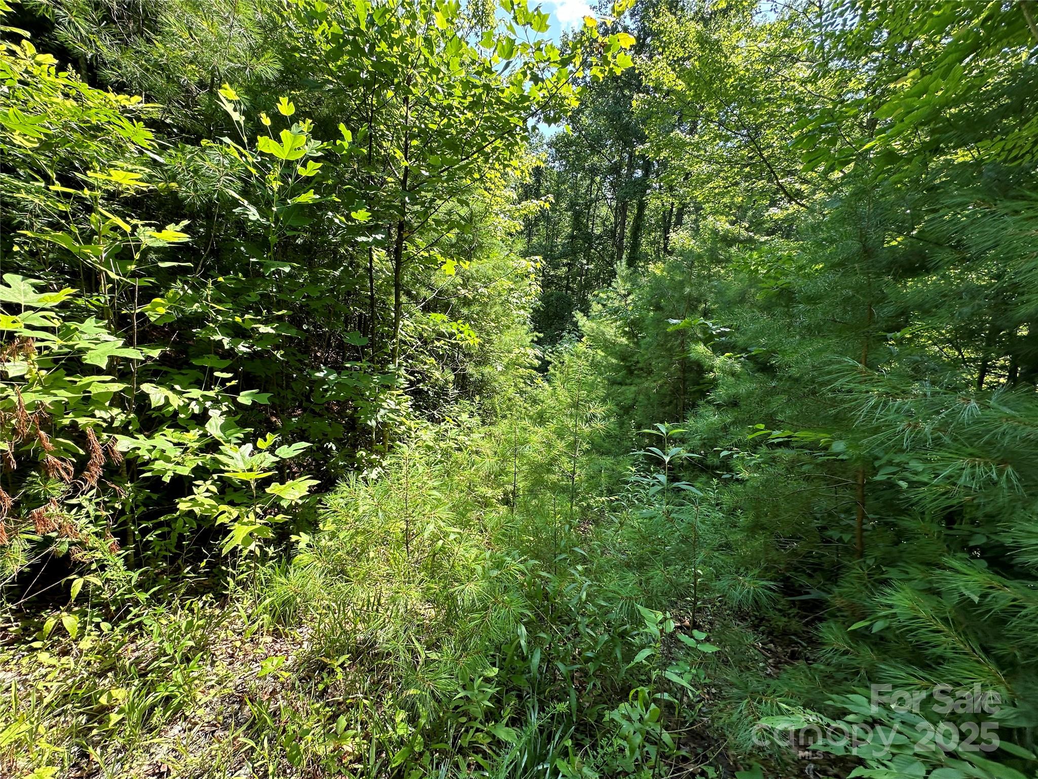 43 Abby Falls Drive Rosman NC 28772