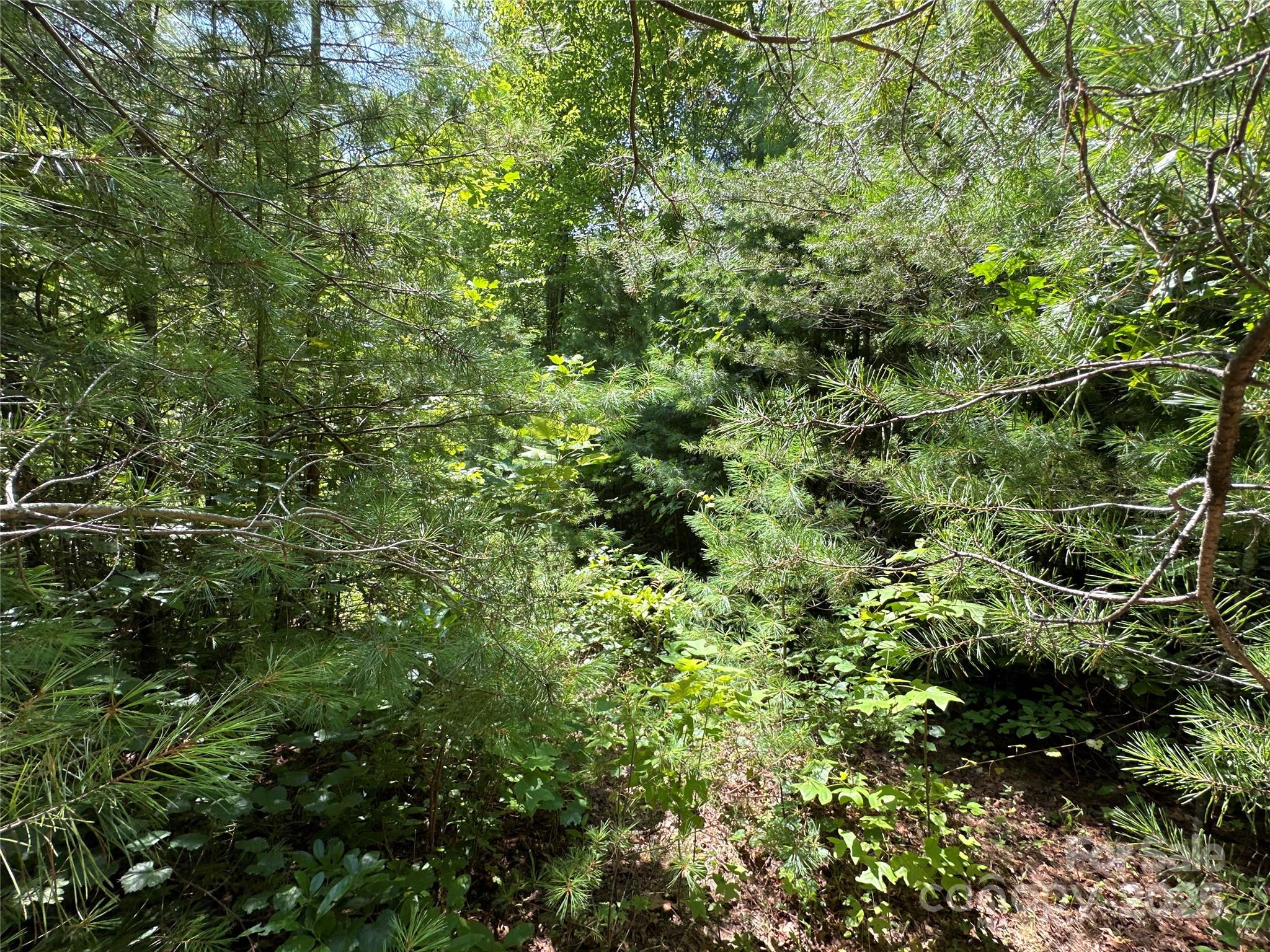 43 Abby Falls Drive Rosman NC 28772