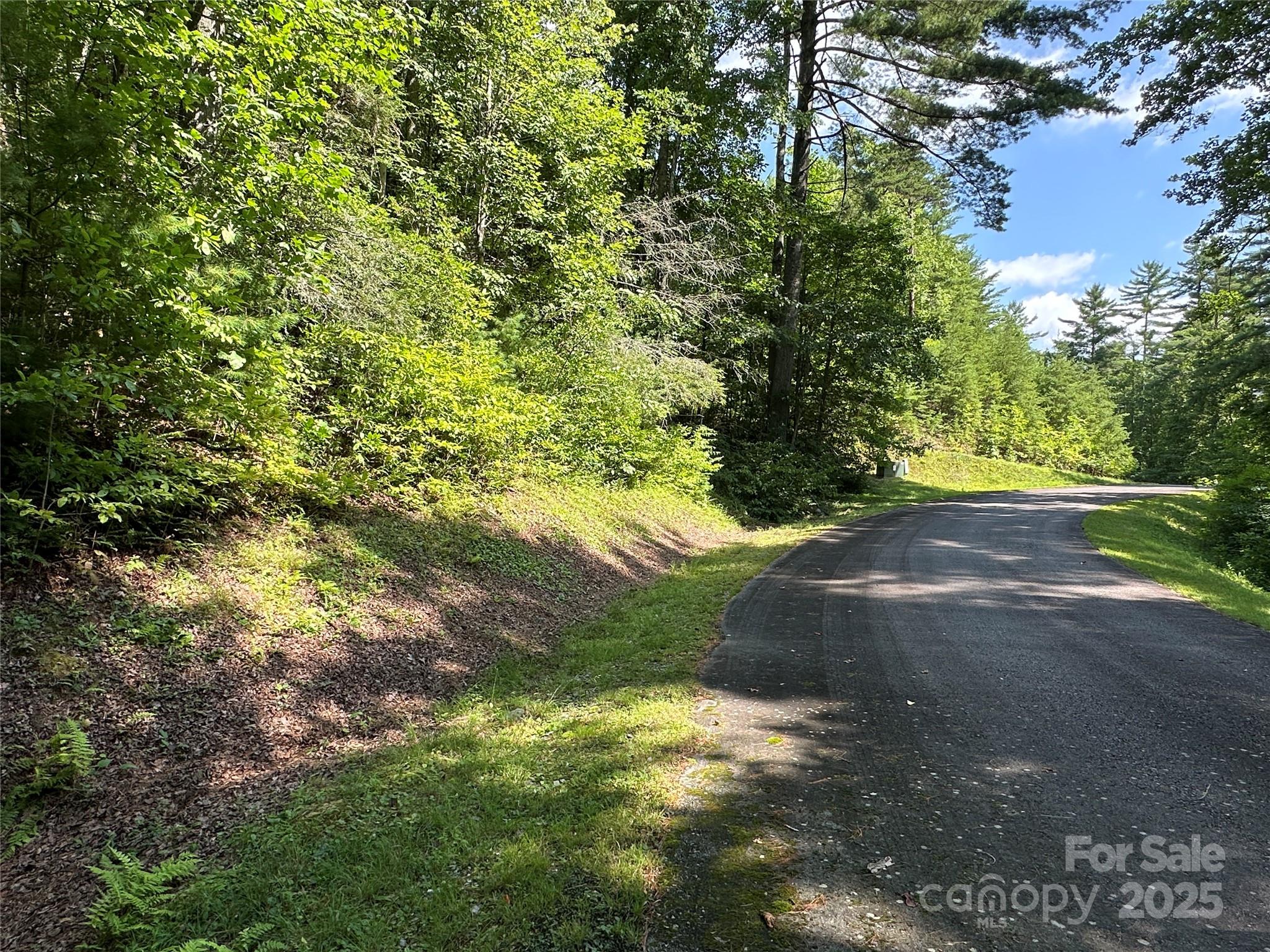 43 Abby Falls Drive Rosman NC 28772