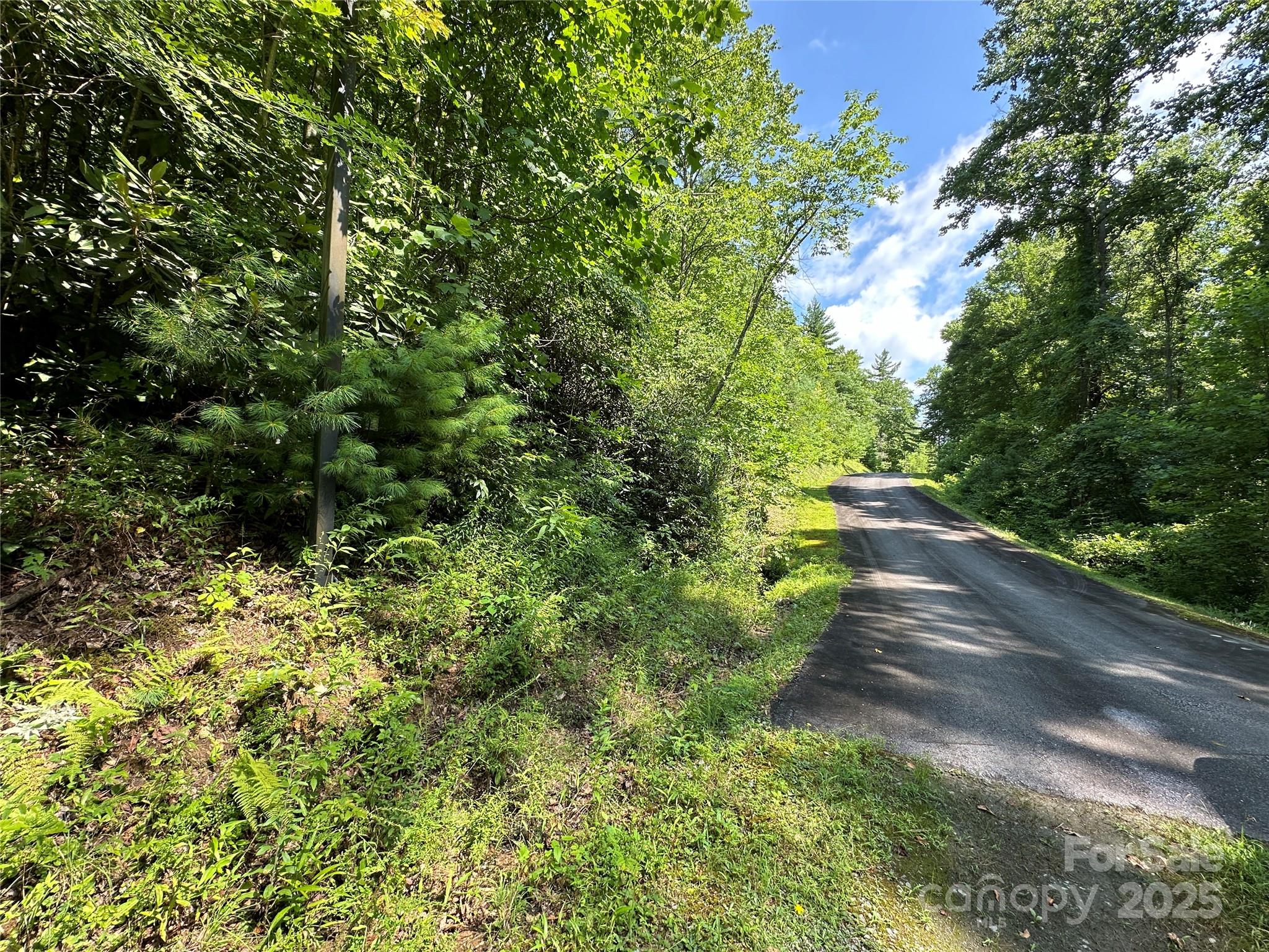 43 Abby Falls Drive Rosman NC 28772