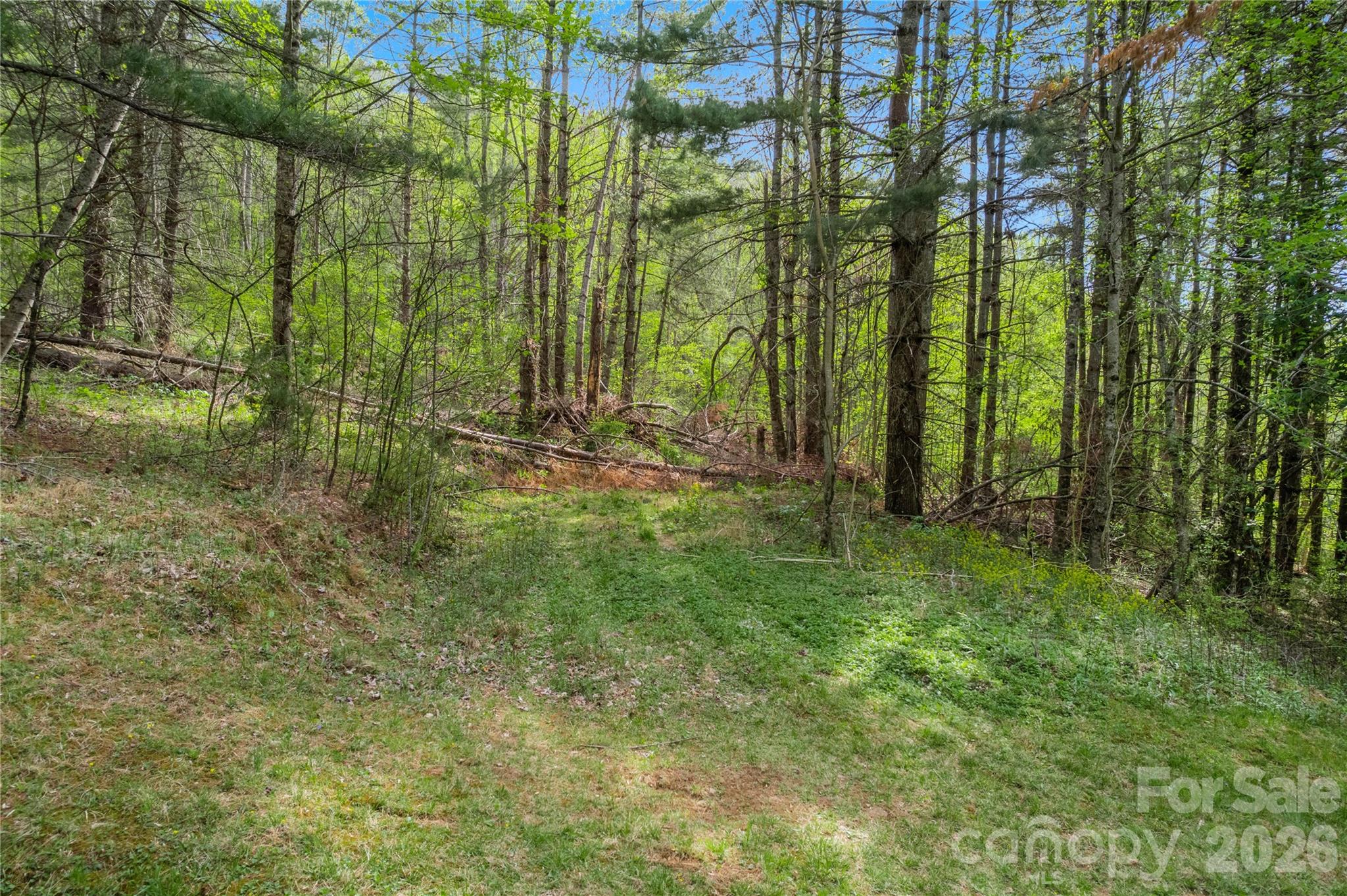 00000 Apple Farm Road Bakersville NC 28705