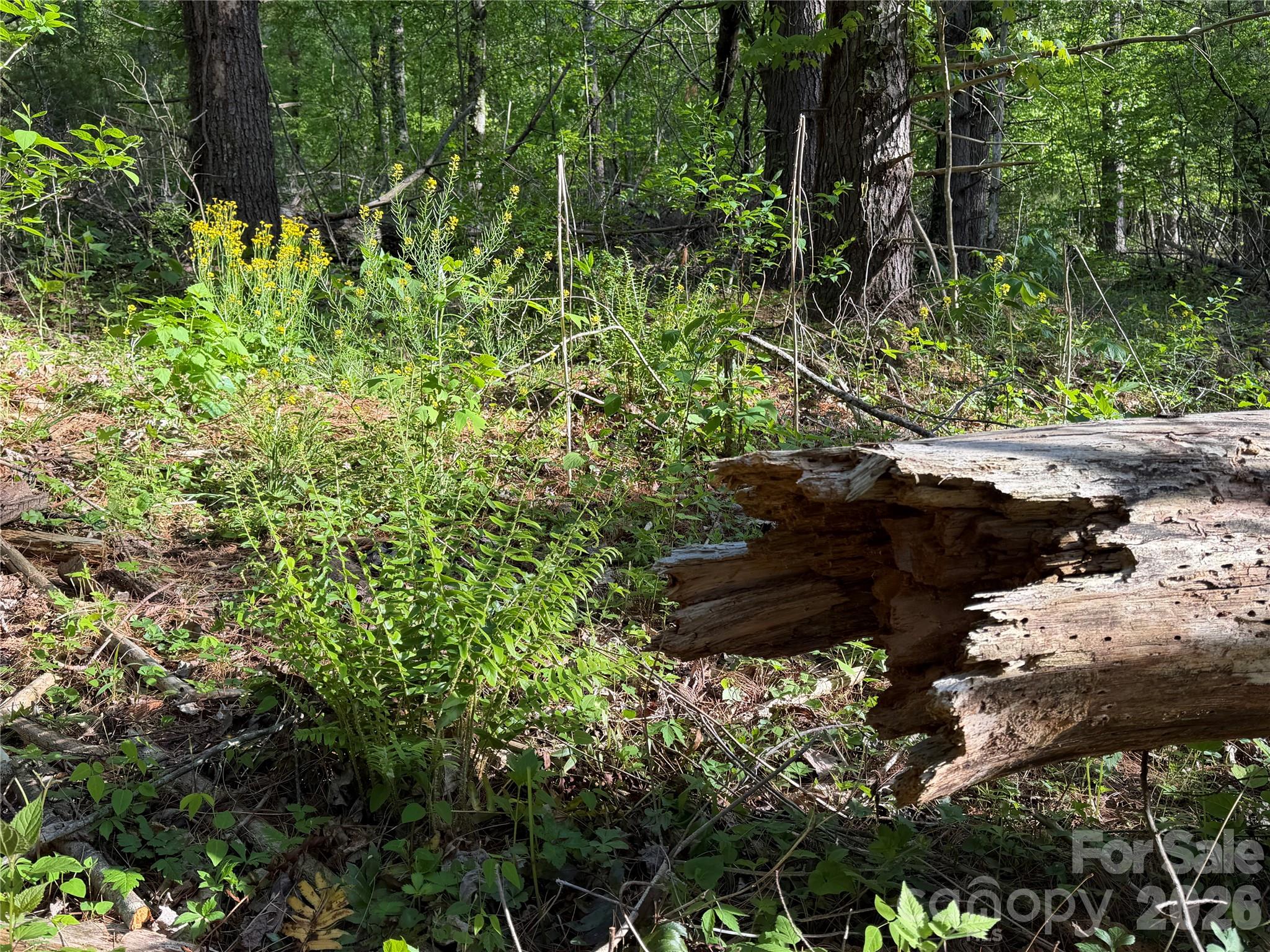 00000 Apple Farm Road Bakersville NC 28705