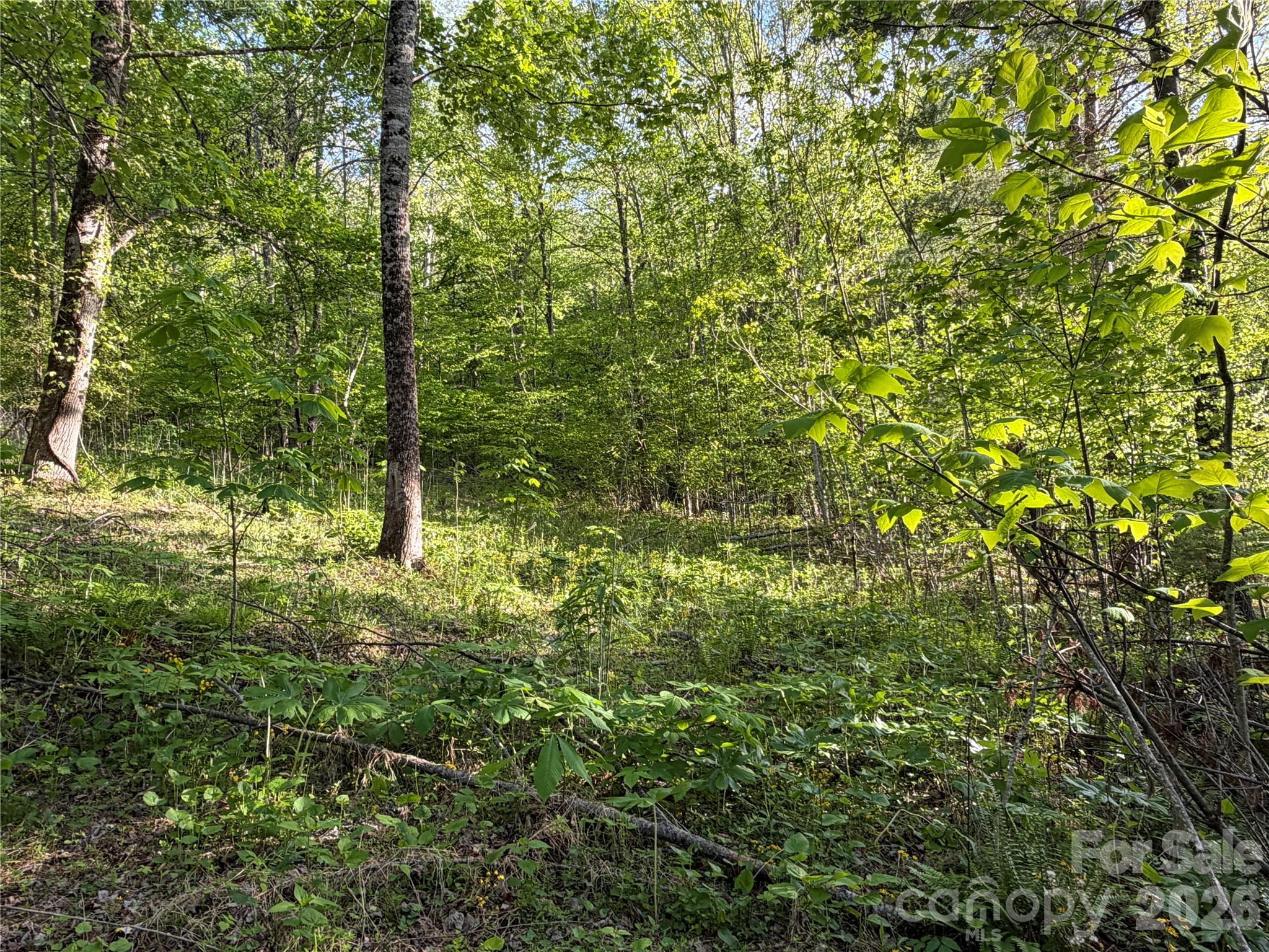 00000 Apple Farm Road Bakersville NC 28705