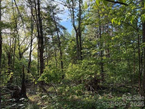 00000 Apple Farm Road Bakersville NC 28705