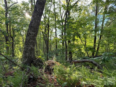 00000 Apple Farm Road Bakersville NC 28705