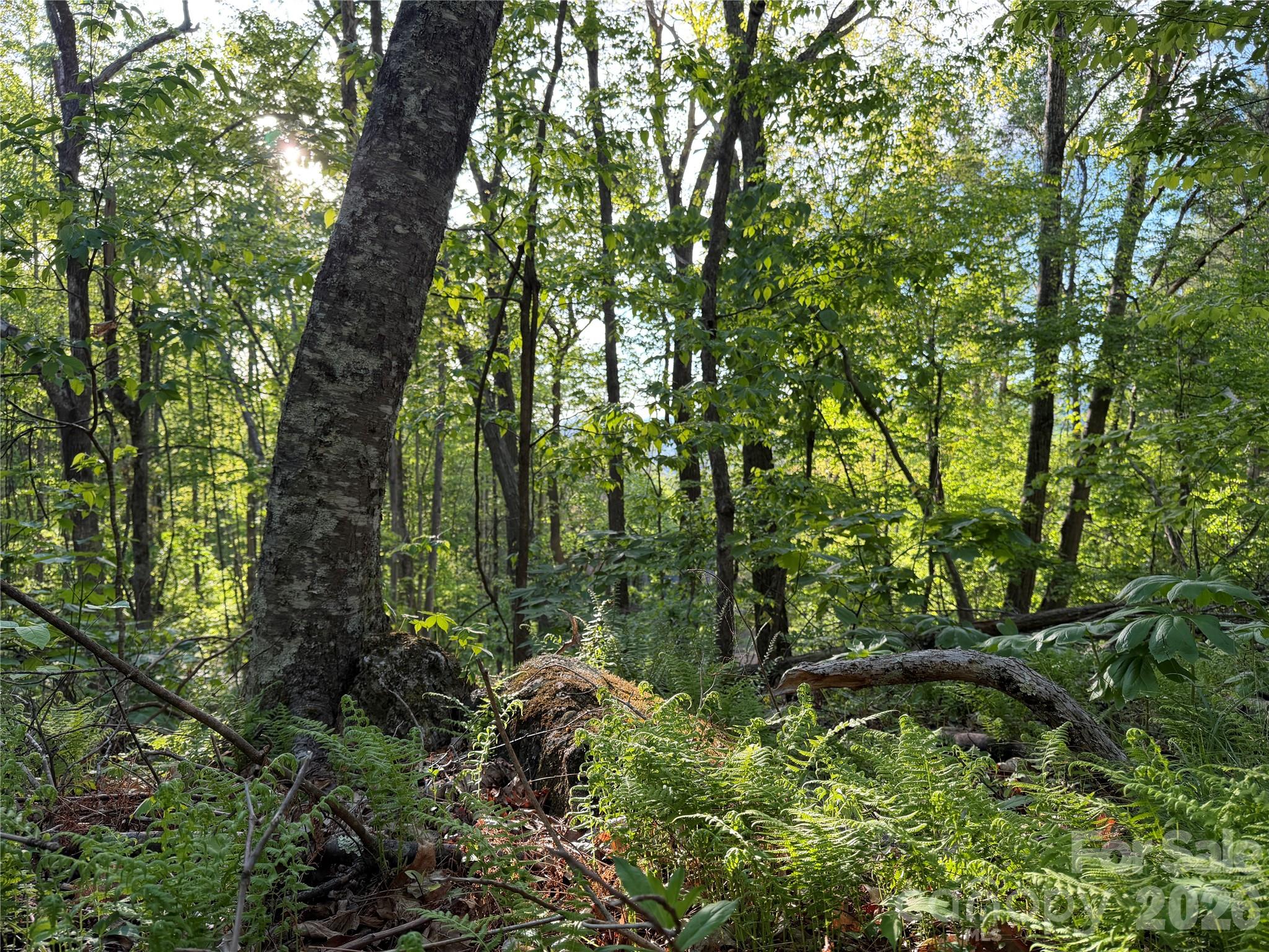 00000 Apple Farm Road Bakersville NC 28705