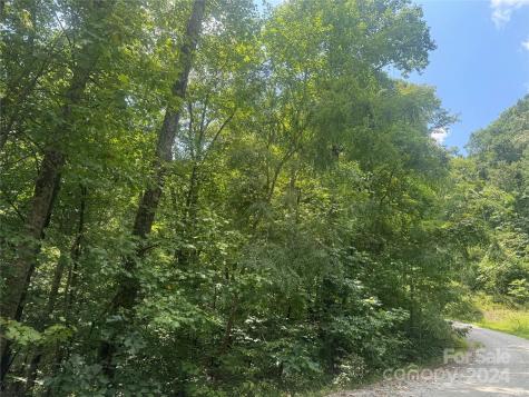 177 Peartree Drive Lake Lure NC 28746