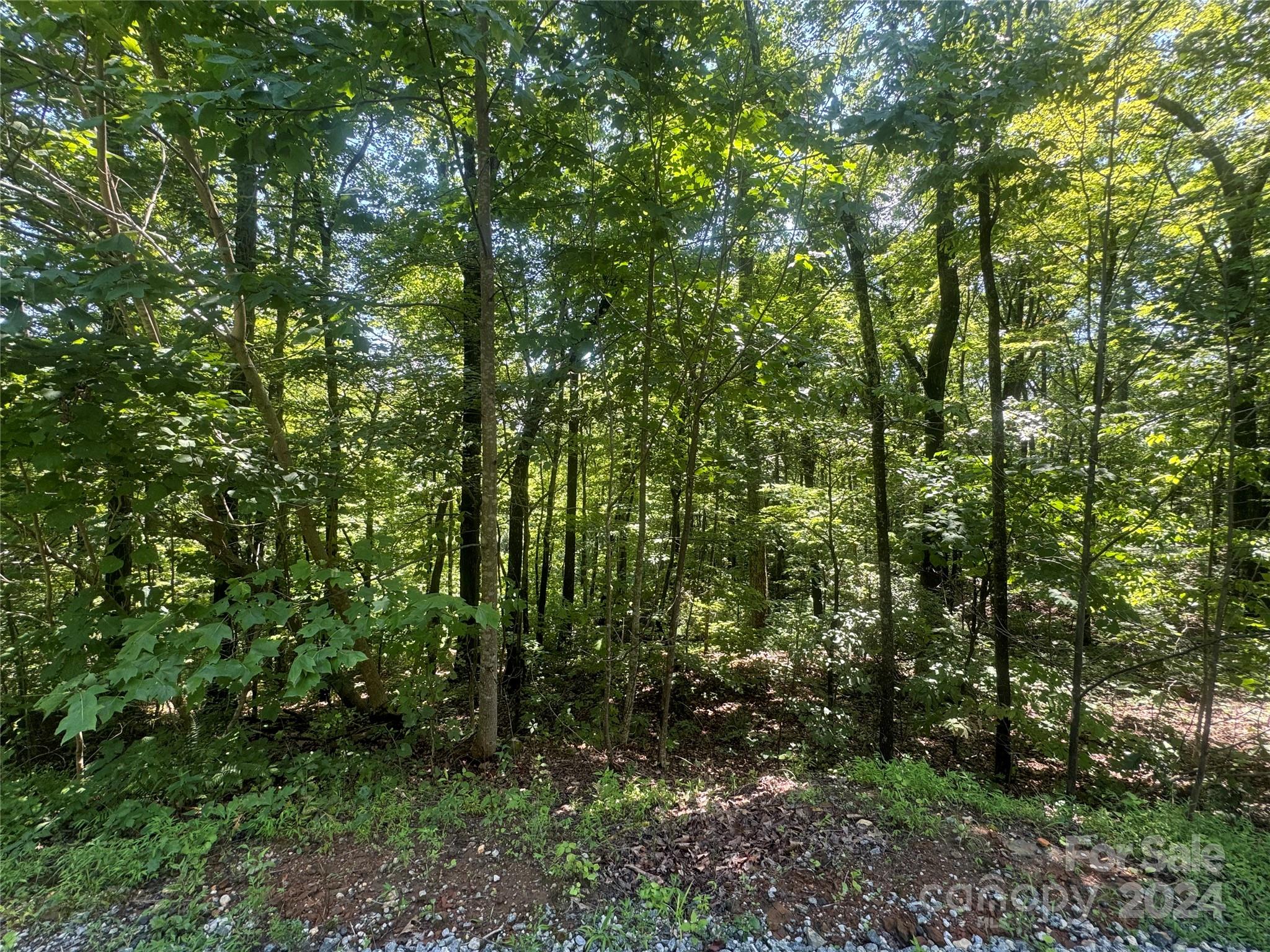 177 Peartree Drive Lake Lure NC 28746