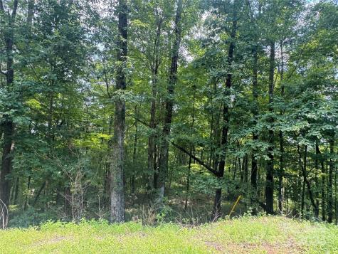177 Peartree Drive Lake Lure NC 28746