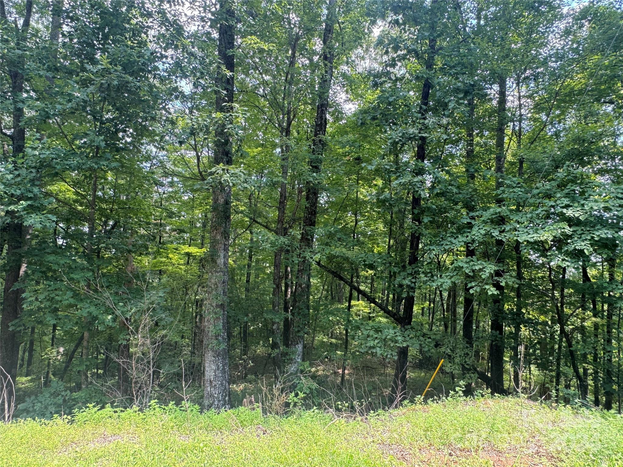 177 Peartree Drive Lake Lure NC 28746