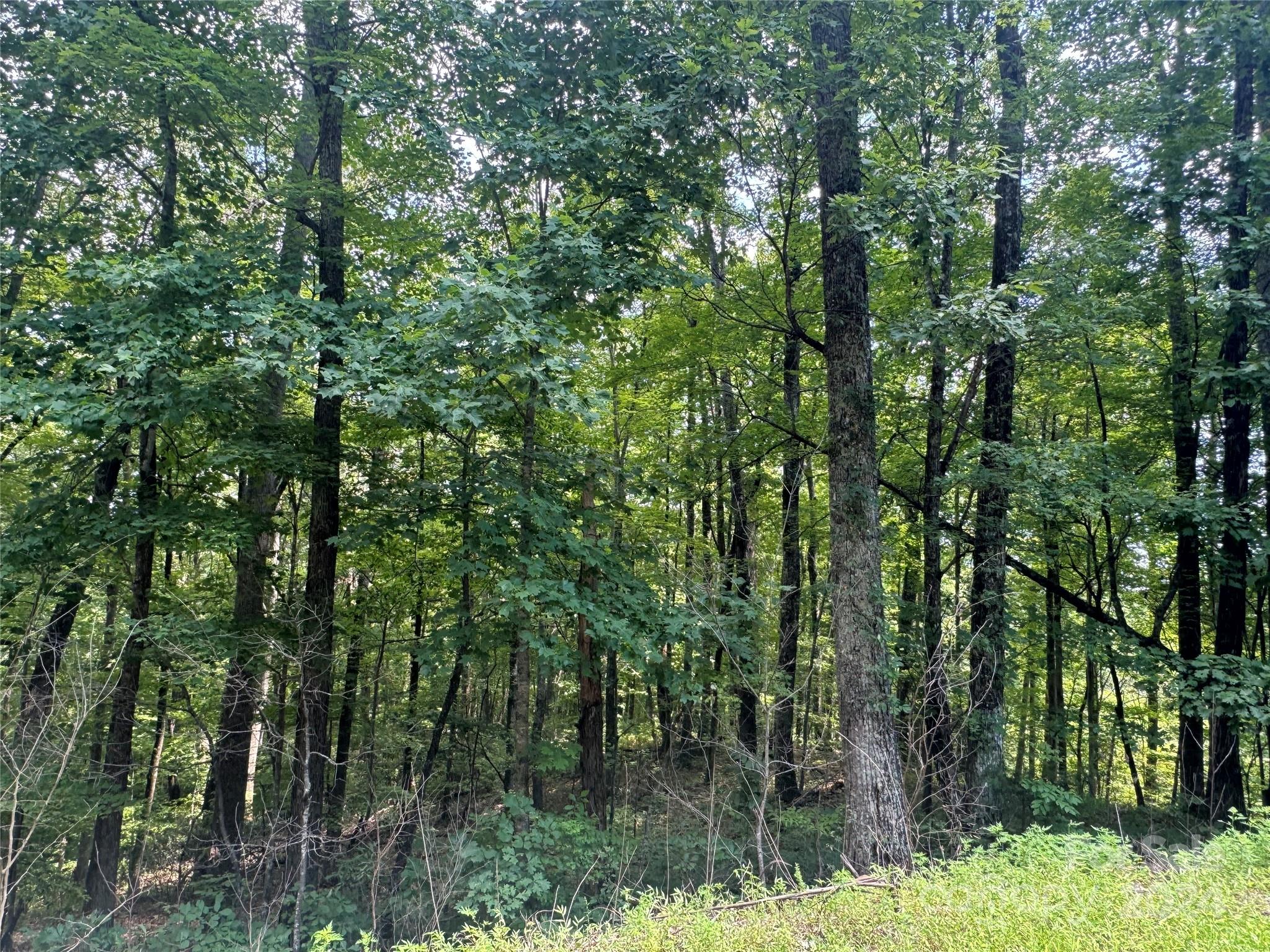 177 Peartree Drive Lake Lure NC 28746
