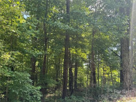 177 Peartree Drive Lake Lure NC 28746