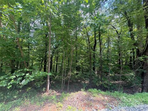 177 Peartree Drive Lake Lure NC 28746