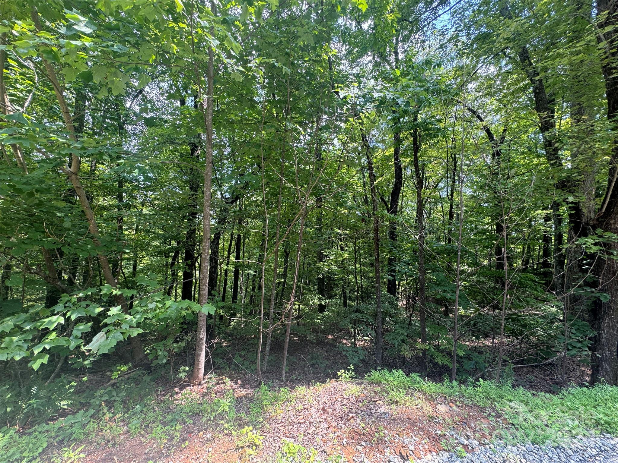 177 Peartree Drive Lake Lure NC 28746