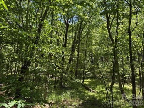 8 Ac Lockhart Highway Union SC 29379