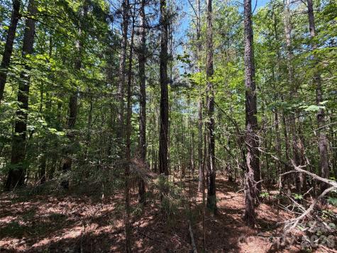 8 Ac Lockhart Highway Union SC 29379