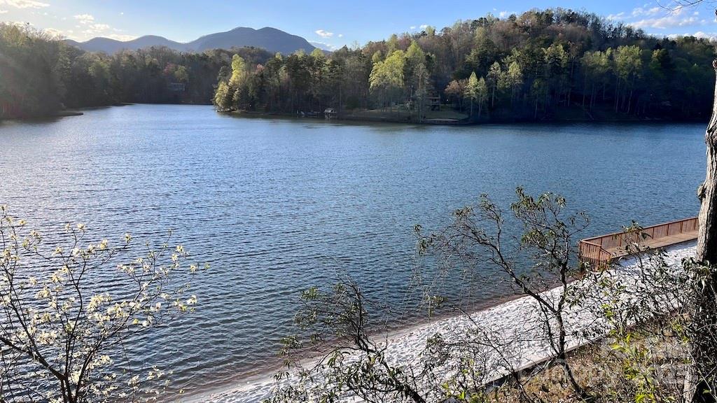 0 Swans Way E Lake Lure NC 28746