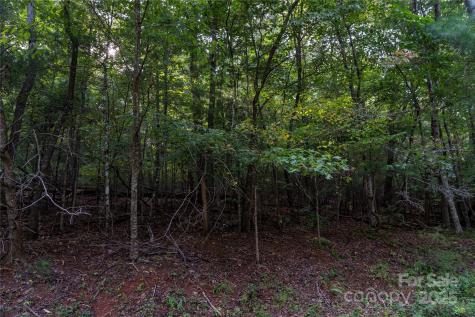 0 Swans Way E Lake Lure NC 28746