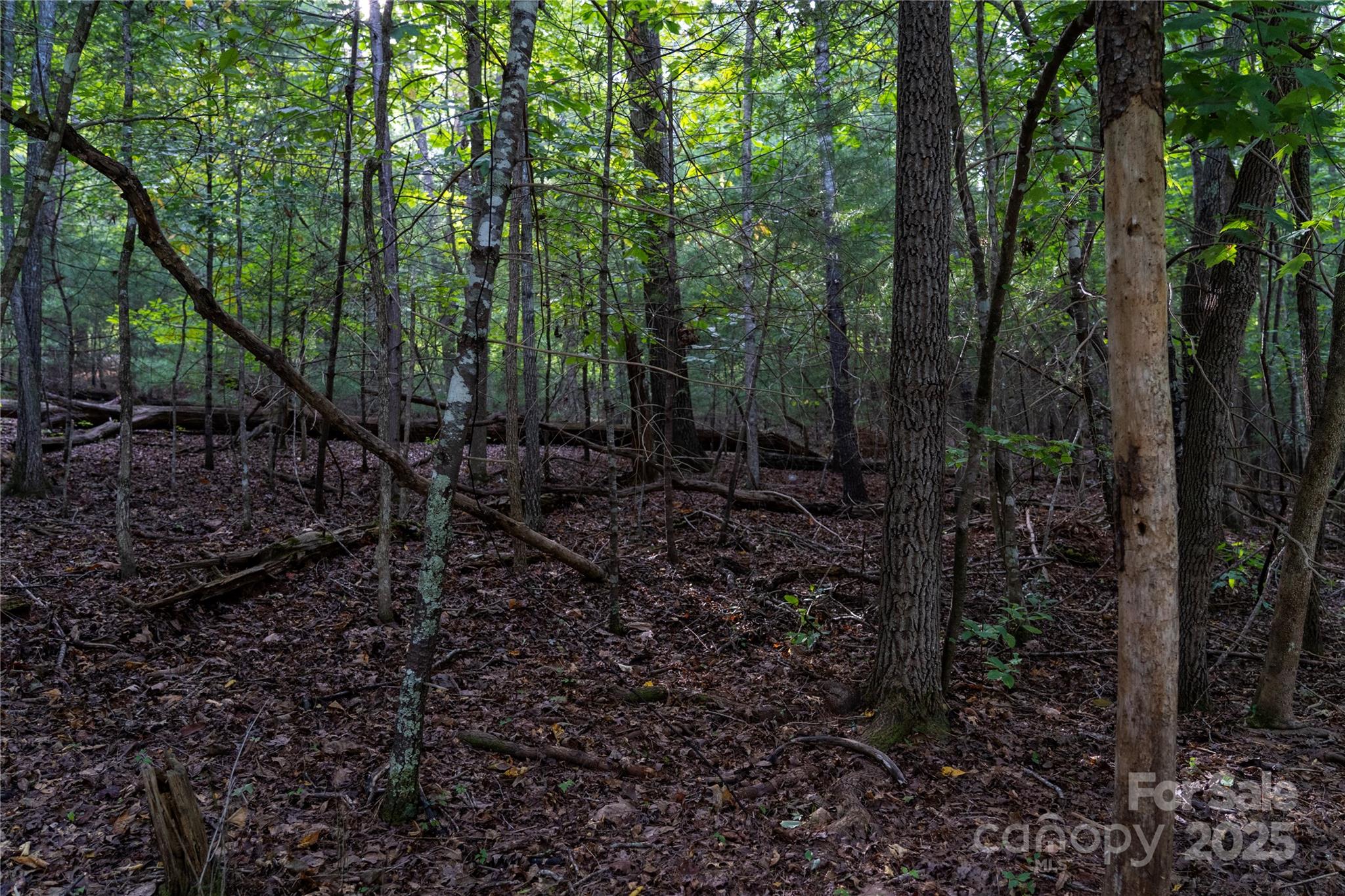 0 Swans Way E Lake Lure NC 28746