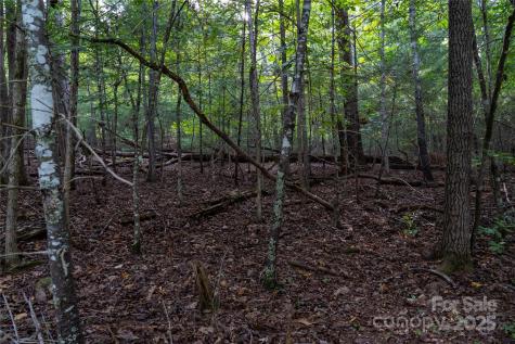 0 Swans Way E Lake Lure NC 28746