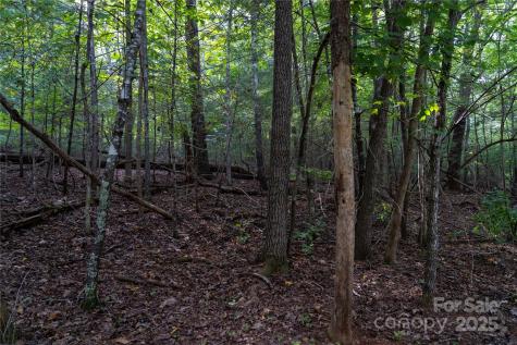 0 Swans Way E Lake Lure NC 28746