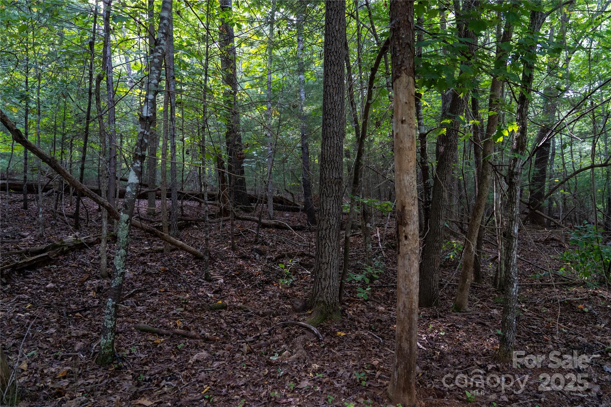 0 Swans Way E Lake Lure NC 28746