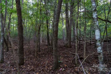 0 Swans Way E Lake Lure NC 28746