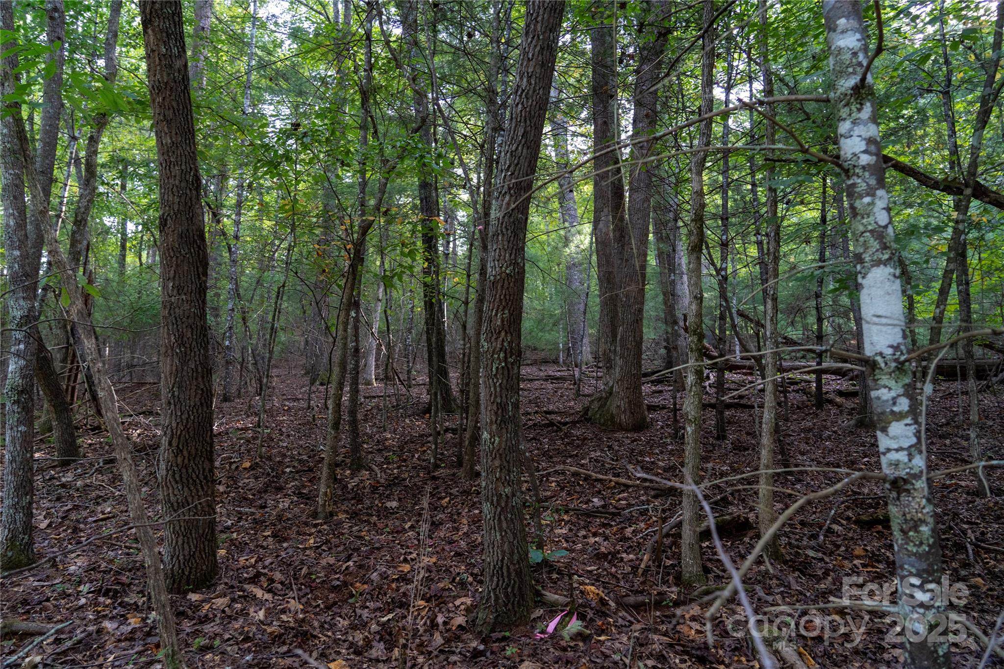 0 Swans Way E Lake Lure NC 28746