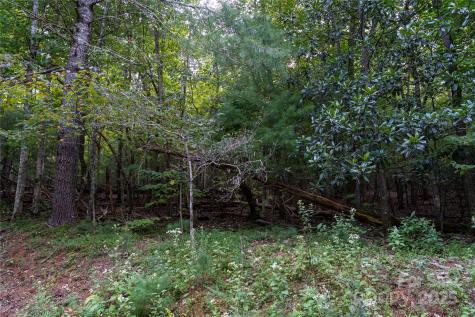 0 Swans Way E Lake Lure NC 28746
