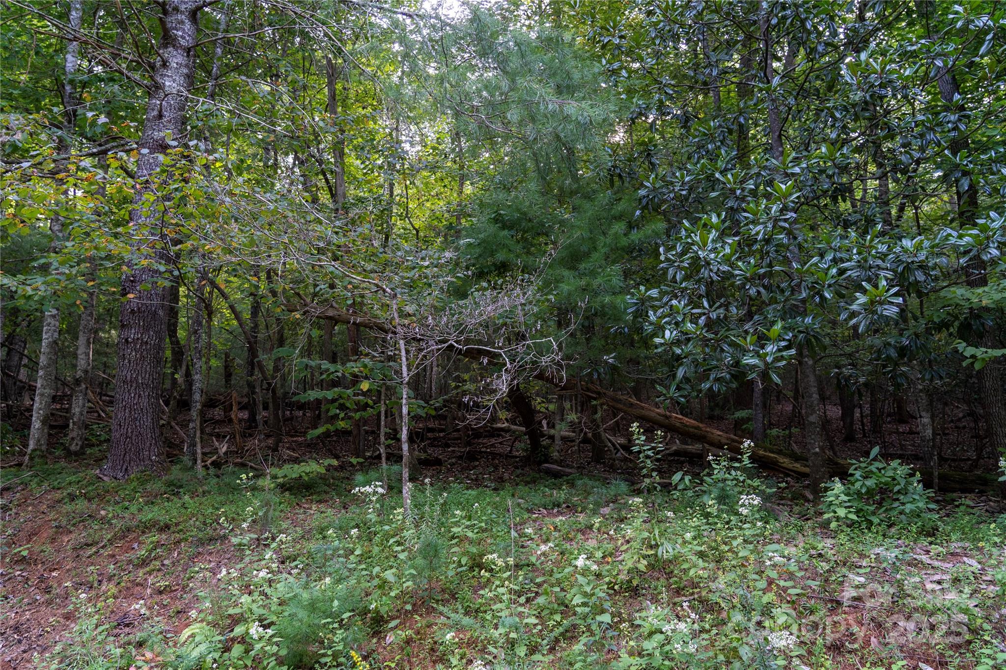 0 Swans Way E Lake Lure NC 28746