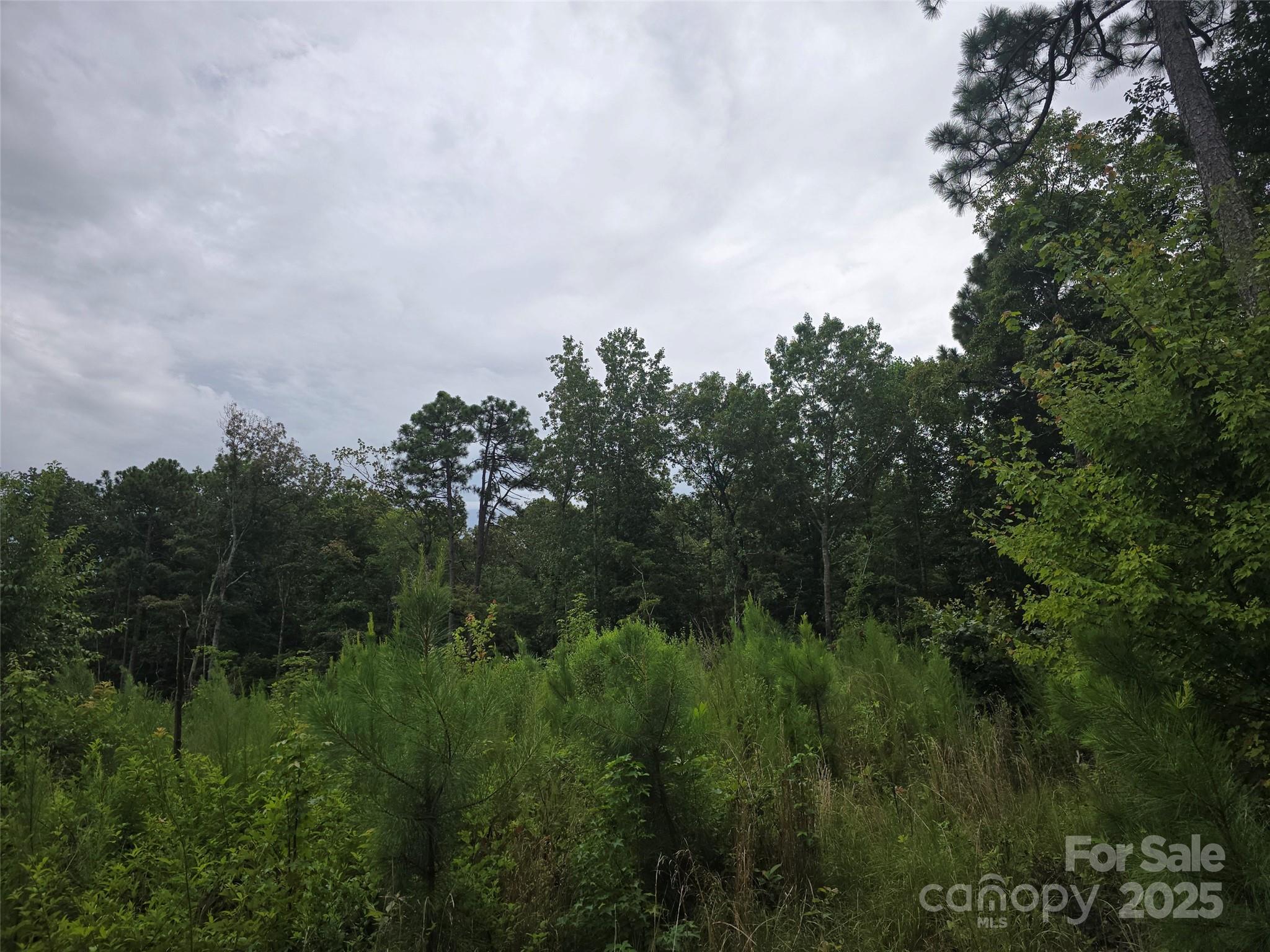 0 N Nc 109 Highway Troy NC 27371