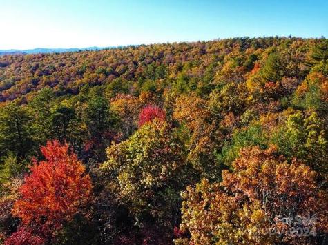 Lot D1 000 Dogwood Lane Penrose NC 28766