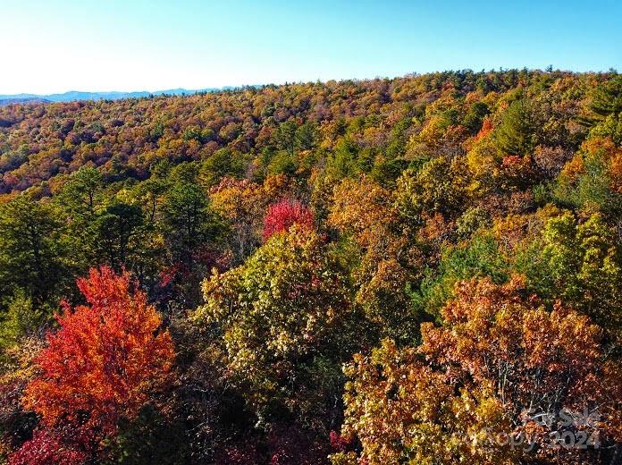 Lot D1 000 Dogwood Lane Penrose NC 28766