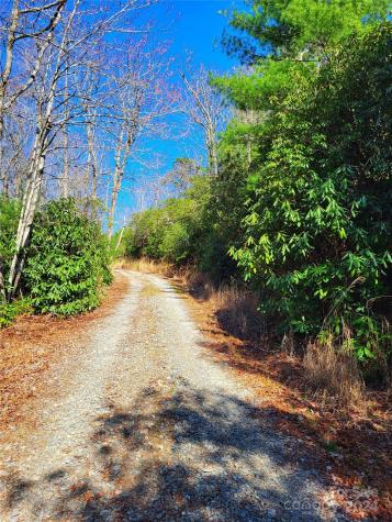 Lot D1 000 Dogwood Lane Penrose NC 28766