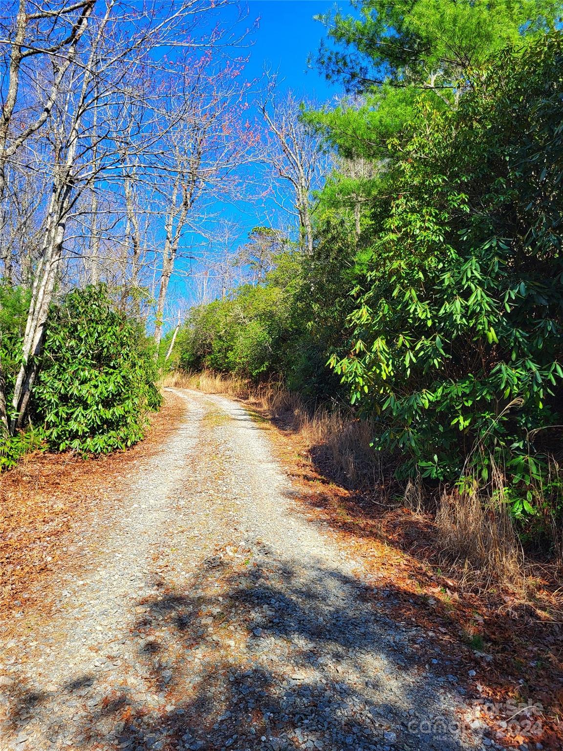 Lot D1 000 Dogwood Lane Penrose NC 28766