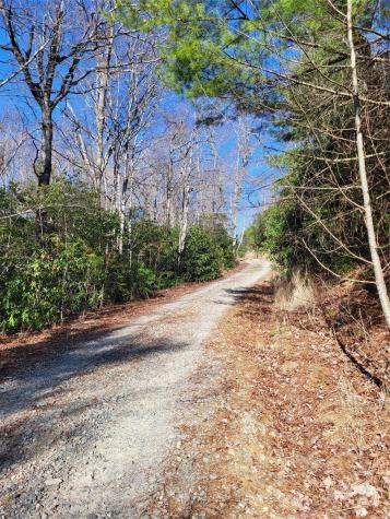 Lot D1 000 Dogwood Lane Penrose NC 28766