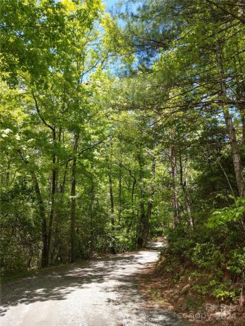 Lot D1 000 Dogwood Lane Penrose NC 28766