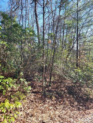 Lot D1 000 Dogwood Lane Penrose NC 28766