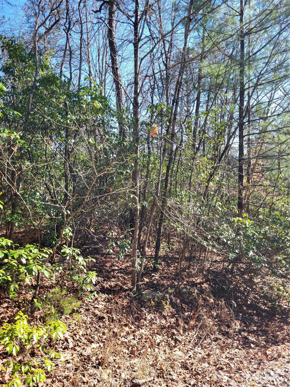 Lot D1 000 Dogwood Lane Penrose NC 28766