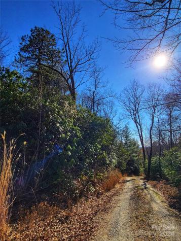 Lot D1 000 Dogwood Lane Penrose NC 28766