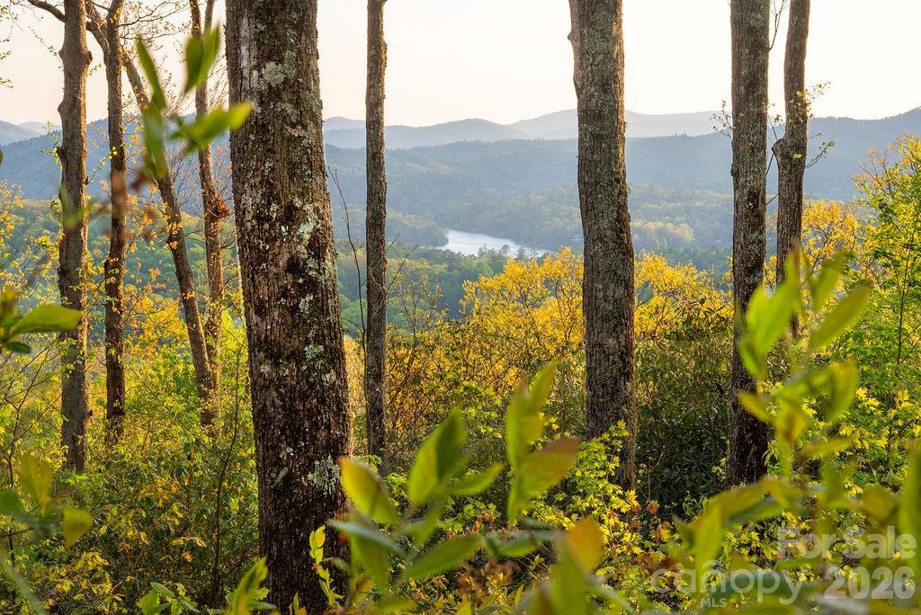 175 Skyview Road Lake Toxaway NC 28747