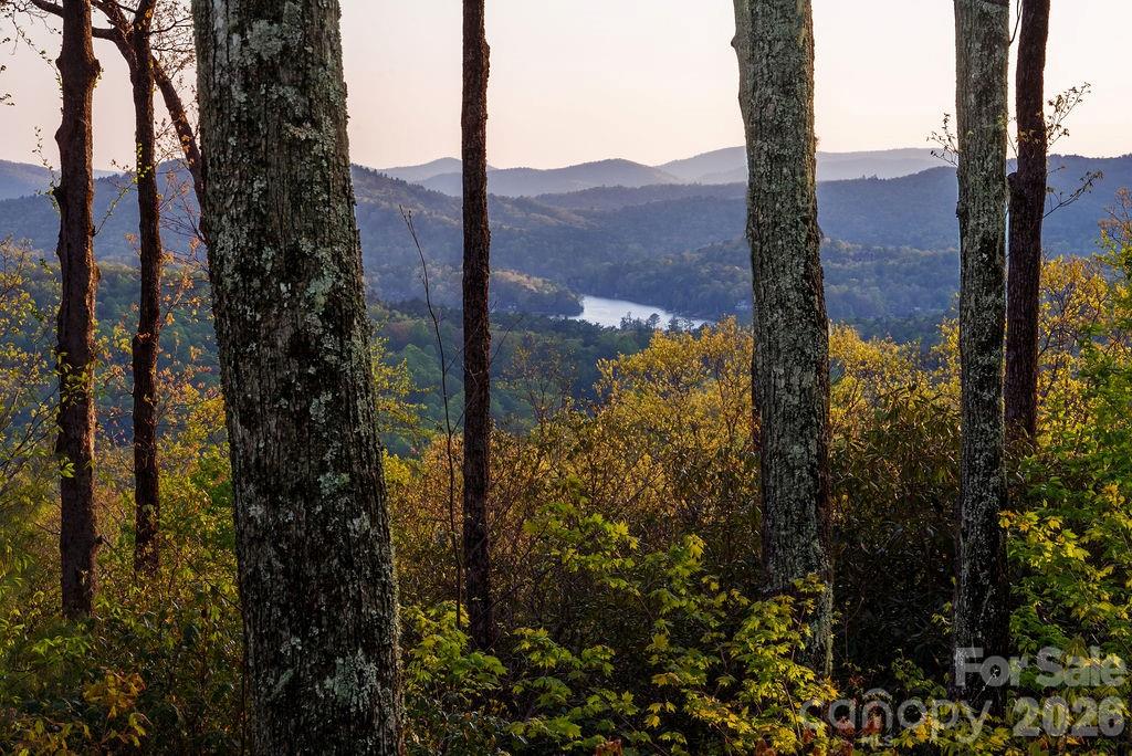 175 Skyview Road Lake Toxaway NC 28747